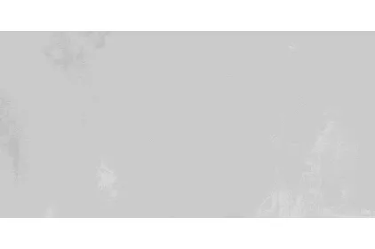 MONOLITH світло-сірий 60х120 matt (плитка для підлоги і стін)