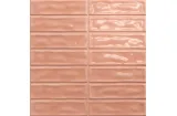 STICKS CORAL 20x20 см (2,5х10) (плитка настінна)