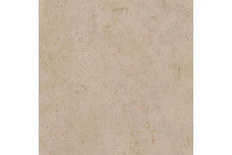 CAMPER SAND 120x120 (плитка для підлоги і стін) зображення 1