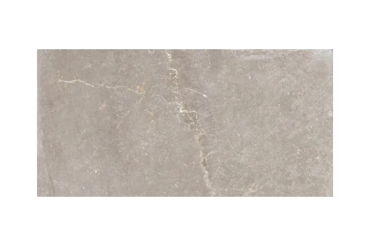 BLEUEMIX TAUPE 60x120 (плитка для підлоги і стін) зображення 1