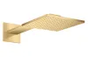 Верхній душ Axor 460х300 2jet з тримачем square, Brushed Gold Optic (35280250) зображення 1