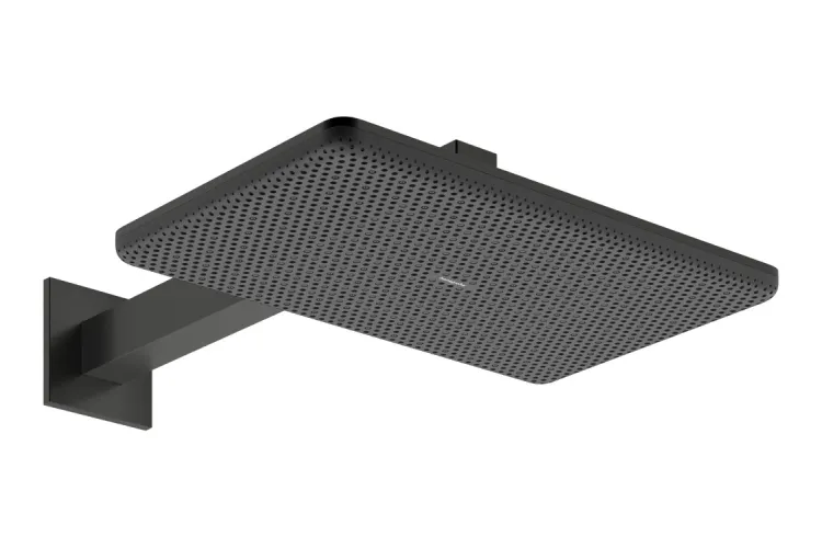 Верхній душ Raindance Alive Q 340/210 2jet з тримачем Brushed Black Chrome (24550340) зображення 1