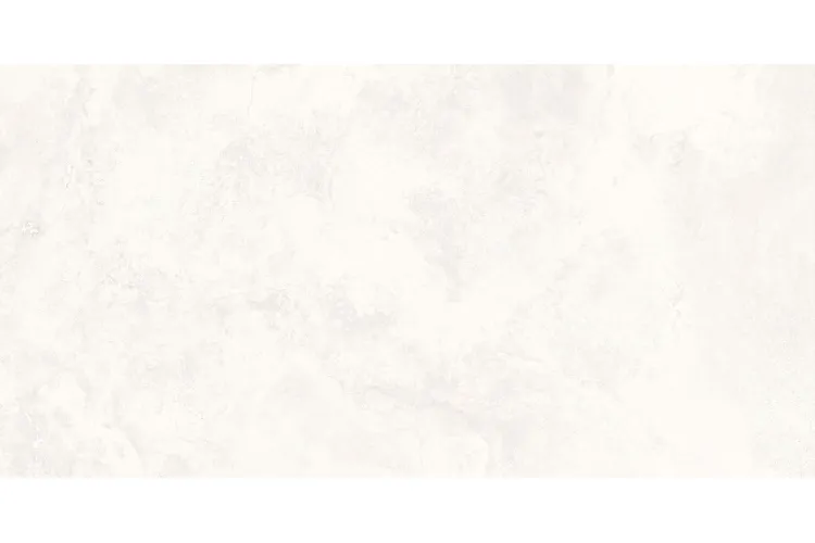 SILTSTONE BIANCO GRANDE MATT&CARVING 60х120 (плитка для підлоги і стін) image 1
