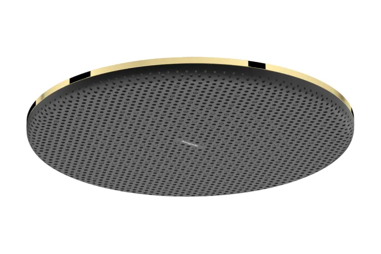 Верхній душ Raindance Alive S 300 1jet EcoSmart Polished Gold Optic (24521990) зображення 1