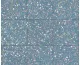 TERRAZZO BLUE NATURAL 60x60 (59.2x59.2) (плитка для підлоги і стін)