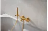 Змішувач для ванни з душ. комплектом MOZA gold 5034-520-31 зображення 2