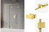 Душова кабіна прям. AVEXA GOLD SHINE 100x90x200 R скло clear ACTIVE SHIELD 6мм image 1
