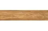 NOELWOOD HONEY 60х11 (універсальна) image 4