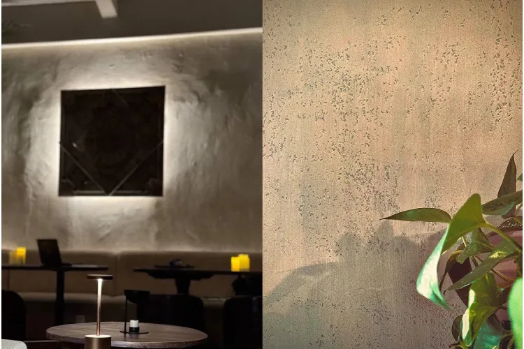 2W003 Декоративна штукатурка Intonaco Dilavato + Travertino Calce (Bianco) зображення 3