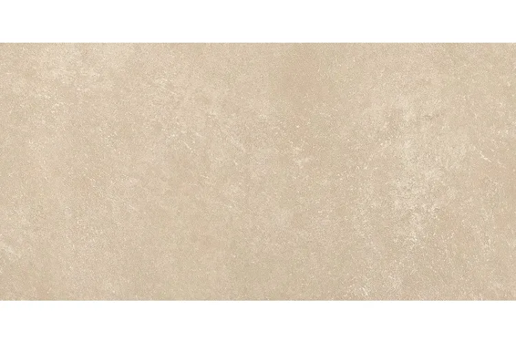 NOBU BEIGE MATT R10 60х120 (плитка для підлоги і стін) fRK8 зображення 1