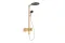 Душова система Raindance Alive S 300 2jet з ShowerSelect Comfort Brushed Bronze (24595140)