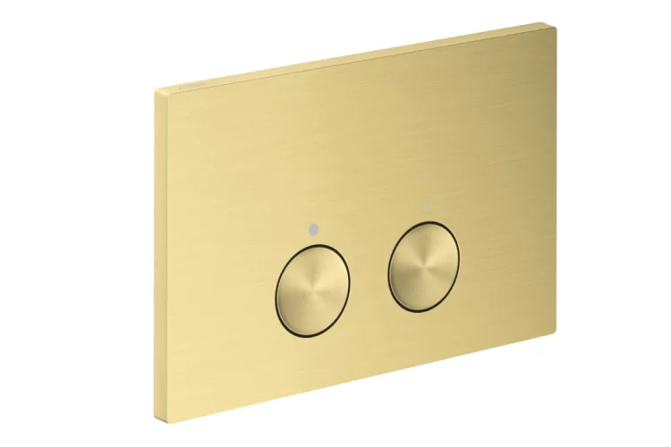 Панель змиву AXOR FlushPlate iFrame, Brushed Brass (42531950) зображення 1