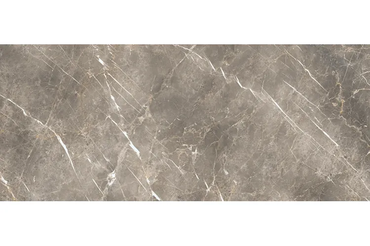 ELEMENTS LUX PERSIAN GREY SILKY RT 120х278 (ECN2) (плитка для підлоги і стін) зображення 1