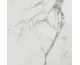 ROMA GOLD CARRARA SUPERIORE BRILLANTE RT 80х80 (плитка для підлоги і стін) fPZC