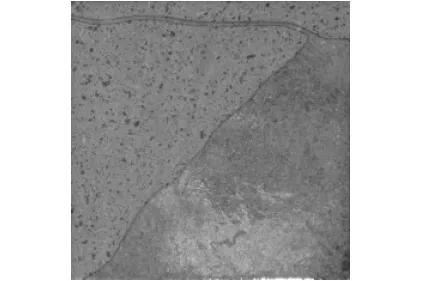 LAVICA DECORO VESUVIO GREY 20х20 NAT R9 (JMJ5) (плитка для підлоги і стін)