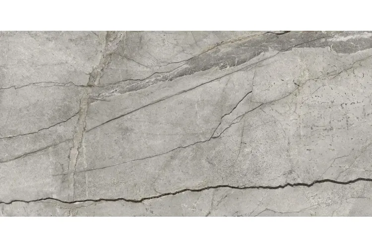 MP49 GRANDE STONE LOOK SILVER ROOT RT 60х120 (плитка для підлоги і стін) зображення 1