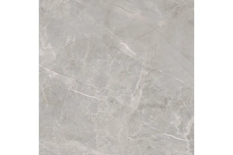 RUSH GREY 59.7х59.7 (плитка для підлоги і стін) image 1