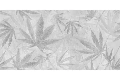 AMSTERDAM айворі Botanic 30х60 (плитка настінна)