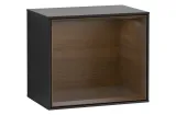 FINION Модуль 418x356x270 колір Black Matt, поличка Walnut Veneer + 1 LED підсвітка (F580GNPD)