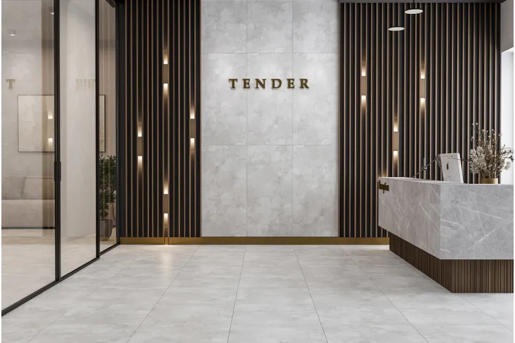 TENDER світло-сірий 60х120 matt (плитка для підлоги і стін) TNG98 зображення 2
