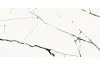 ETERNAL WHITE POLISHED 60х120 (плитка для підлоги і стін) зображення 1