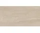 SERENA VEINCUT MOKA 120x280 (плитка настінна)