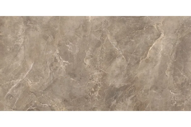 RUSH BROWN 59.7х119.7 (плитка для підлоги і стін) image 1