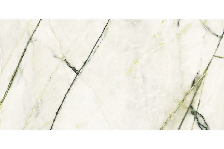 G2544 CALACATTA GREEN SILK 59.6x120 (плитка для підлоги і стін) image 1