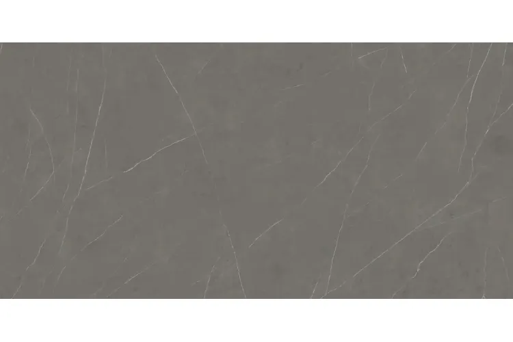 G1053 LIEM GREY POLISHED 6 MM 160x320 (плитка настінна) image 3