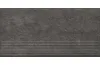 CARRIZO BASALT STOPNICA PROSTA STRUKTURA MAT 30х60 (сходинка структурна) image 3