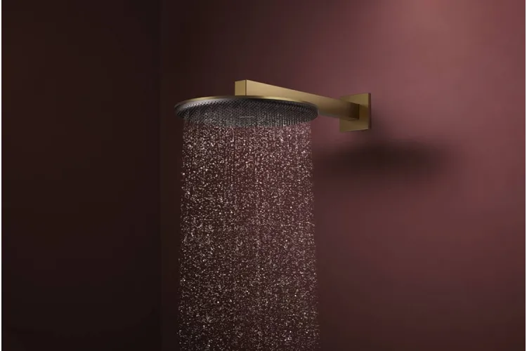 Верхній душ Raindance Alive S 300 2jet EcoSmart з тримачем Brushed Bronze (24541140) зображення 2