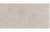 SASSI ARENA 32x62,5 (плитка настінна) зображення 1
