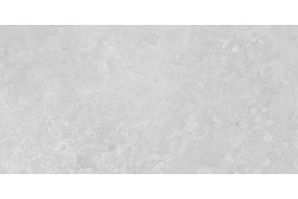 DORSTONE BONE RECT 120x120 (плитка для підлоги і стін)