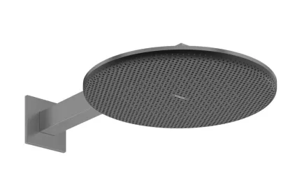 Верхній душ Raindance Alive S 300 2jet з тримачем Brushed Bronze (24540140)