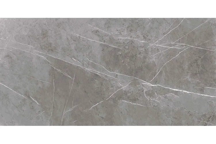 MARBLE MOOD сірий 60х120 глянц (плитка для підлоги і стін) MD2990 зображення 1