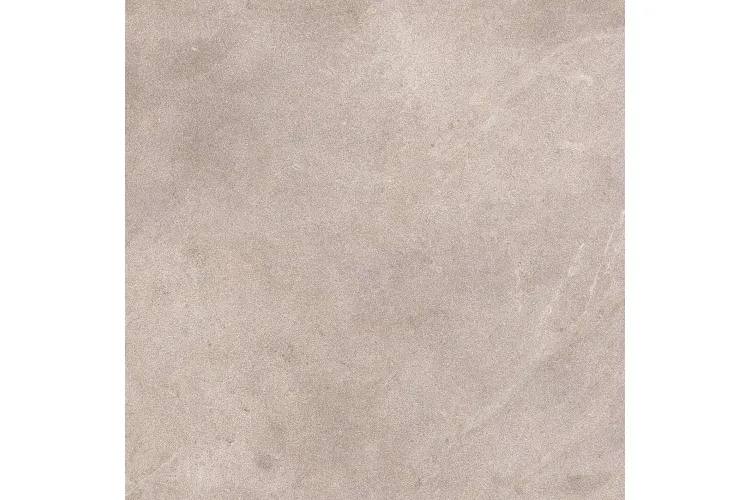 G392 SAVANNAH TOPO L 120x120 (плитка для підлоги і стін) image 1