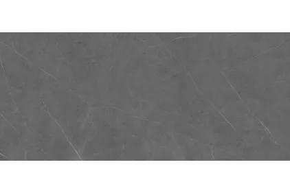 G2501 LIEM GREY NATURE 120x270 (плитка настінна)