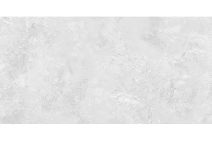 RAPOLANO SILVER MATT 60х120 (плитка для підлоги і стін)
