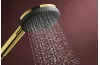 Душовий набір Raindance Alive Select S 3jet EcoSmart 90 см E  Polished Gold Optic (24601990) image 3