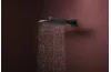 Верхній душ Raindance Alive S 300 2jet з тримачем Matt Black (24540670) зображення 2