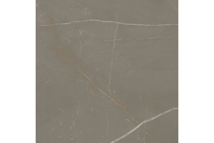 LINEARSTONE TAUPE 59.8х59.8 (плитка для підлоги і стін) MAT зображення 1