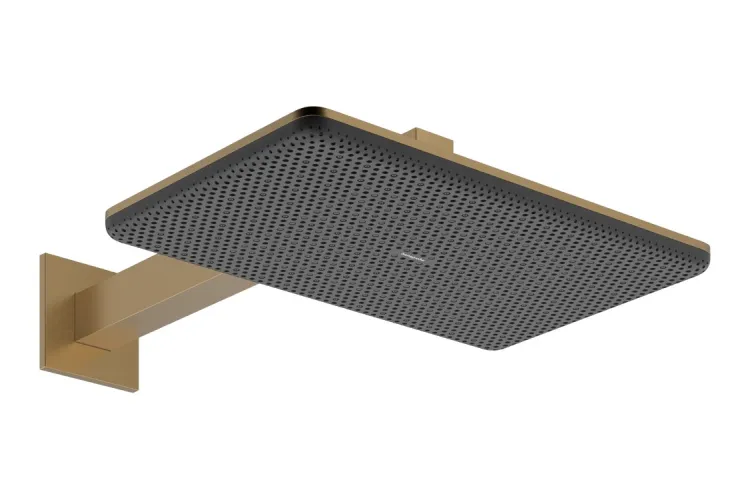 Верхній душ Raindance Alive Q 340/210 2jet з тримачем Brushed Bronze (24550140) зображення 1