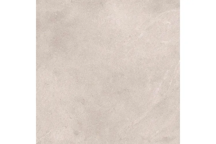 G392 SAVANNAH CALIZA L 120x120 (плитка для підлоги і стін) image 1