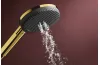 Душовий набір Raindance Alive Select S 3jet EcoSmart 90 см S  Polished Gold Optic (24603990) image 3