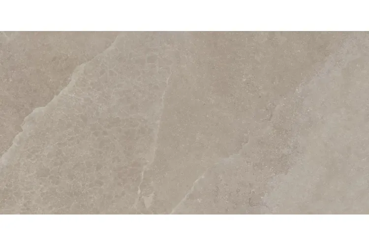 LOVSTONE TAUPE POLPOLER 119.8х59.8 (плитка для підлоги і стін) 8 мм зображення 4