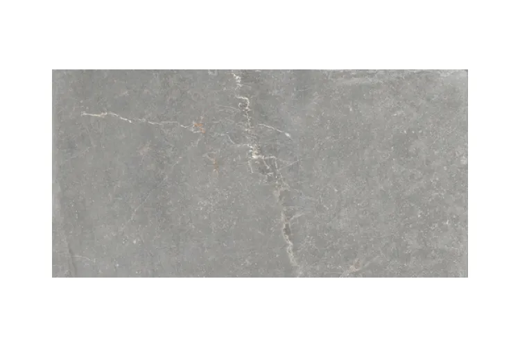 BLEUEMIX GREY 60x120 (плитка для підлоги і стін) зображення 1