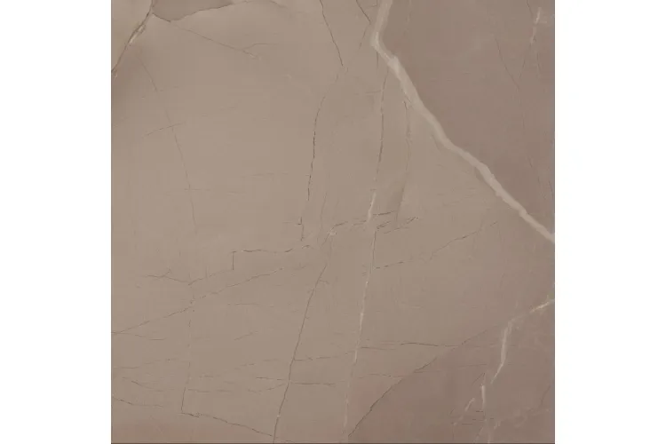 PASSION LUX 60 TAUPE 60x60  (плитка для підлоги і стін) B37 зображення 1