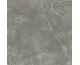 PUCCINI GRIS MAT 60x60 (плитка для підлоги і стін)