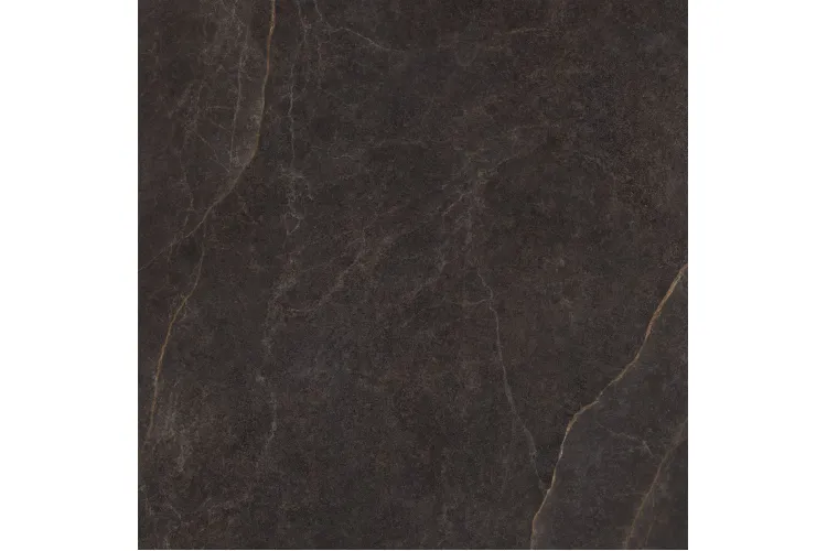 RIVIERE CACAO 120x120 (плитка для підлоги і стін) зображення 1