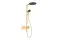 Душова система Raindance Alive S 300 2jet з ShowerSelect Comfort, Polished Gold Optic (24595990)